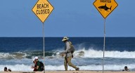 Muere surfista por ataque de tiburón en Sidney; es el primer caso fatal desde 2022 (VIDEO)