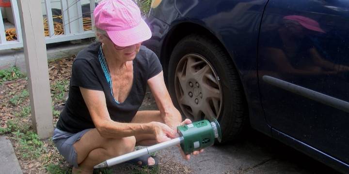Coyotes cause concern for local homeowner after killing her cats