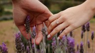 Llega el amor con la primavera: los 5 signos del Zodíaco que podrían comprometerse o recibir propuestas de matrimonio en septiembre 2025