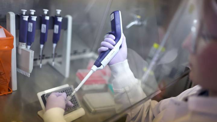 Avian flu discovered at turkey farm in Sanpete County, officials say