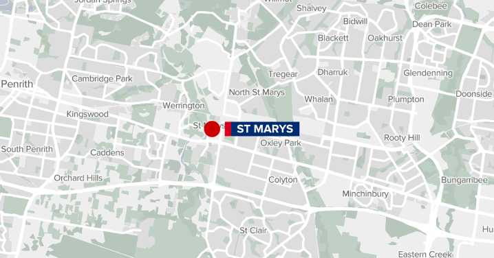 St Mary's dog attack: Four people, including police officer, attacked by two dogs in Sydney's west
