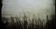 Colorado exhibit features history of photography processes