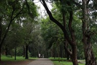 Villas Panamericanas, Colomos y El Bajío: símbolos de errores urbanísticos