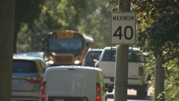 High Park residents call for 'meaningful' road safety changes on Parkside Drive