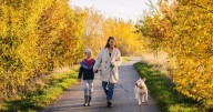 Dogs Trust West Calder encouraging dog-lovers to be part of new fundraising challenge