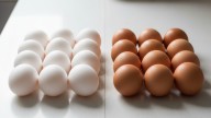 Pocos lo saben: cuál es la diferencia entre los huevos blancos y los marrones