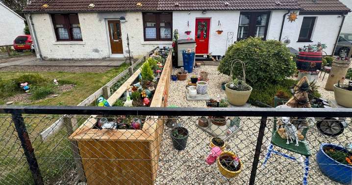 Woman ordered to get planning permission for plant pot after neighbour complains