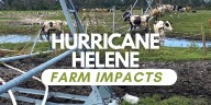 $221 million disaster relief grant signed to help Helene impacted farmers