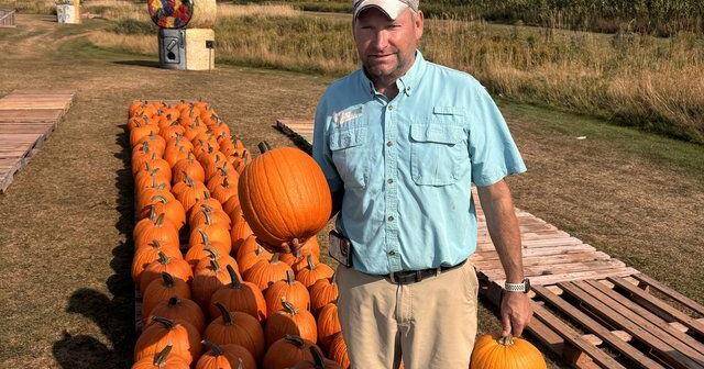 'There's something strange in the pumpkin fields.' Drought & heat frightening farmers