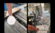 Cedió tramo de caminería en Pedernales y una mujer warao terminó herida
