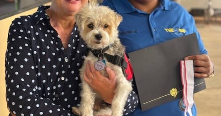 Milwaukee streetcar driver honored for heroic rescue of woman and service dog