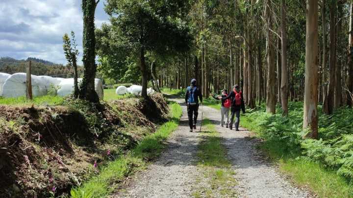 El Camino Gastronómico do Mar: peregrinaje y gastronomía de Ribadeo a Neda