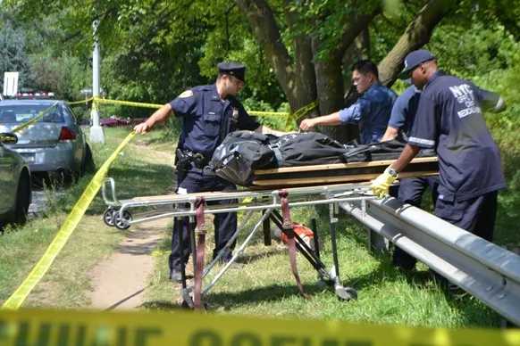 Sanitation workers find skeletal remains of dead woman alongside Idlewild Park in Rosedale: NYPD