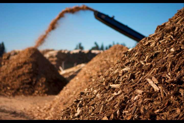 Northern Ontario betting big on biomass industry