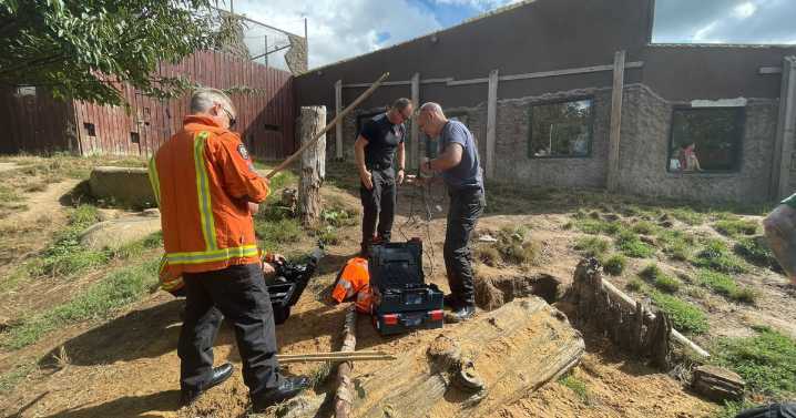 Fire crews responds to zoo after wolves dig through enclosure