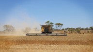 WA farmers set to harvest bumper 23 million tonne crop after plentiful rain and ‘soft spring’