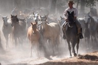 Hinojos vivirá este fin de semana una cita centenaria en Doñana: la Recogida de las Yeguas