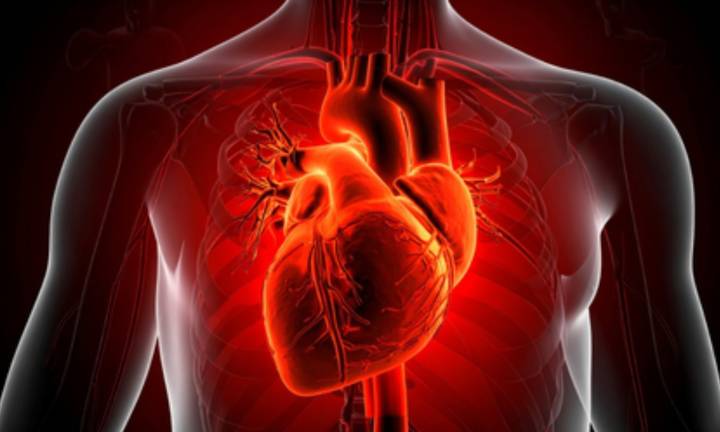 Cardiovascular diseases behind 1 in 3 global deaths in 2023: Study