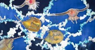 The Great Marsh comes to life in silk