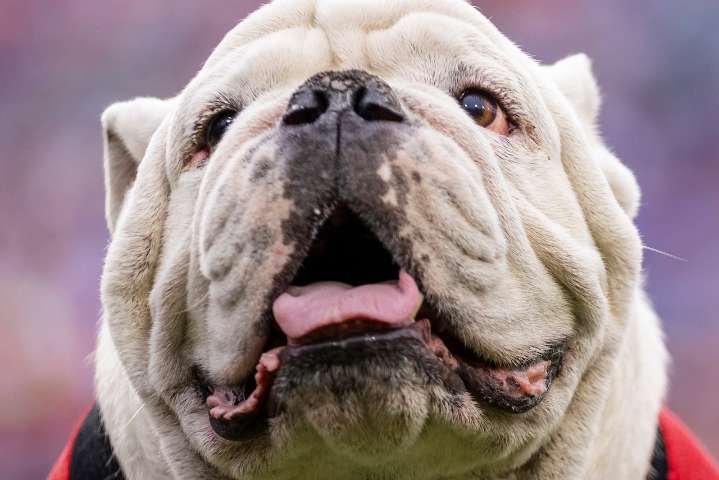 Is Georgia Bulldogs football on TV, or streaming only today? Spread, game odds, kickoff time