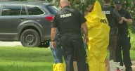 Woman charged with animal neglect after 6 dogs found dead in July