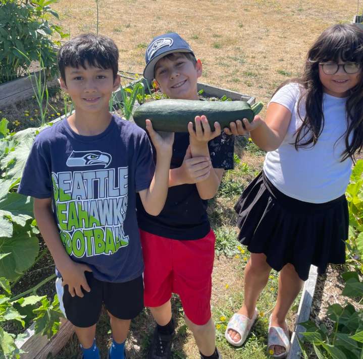 Vegetable garden beds installed for Edmonds Boys & Girls Club