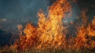 USU Extension Education Highlight: Utah fire season recap