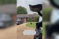 Laughter As Dog Refuses To Leave '5 Star Resort' Grandparents' House