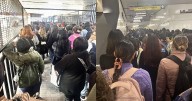 Caos en el Metro de la Ciudad de México hoy: varias líneas presentan retrasos y alta demanda de usuarios