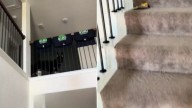 Texas Owners Realized They Left Their Dog Loose In The House Only To Come Home And See Something Surprising