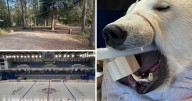 AROUND ALASKA: Fire Mitigation, Center Ice, and Polar Bear Teeth!