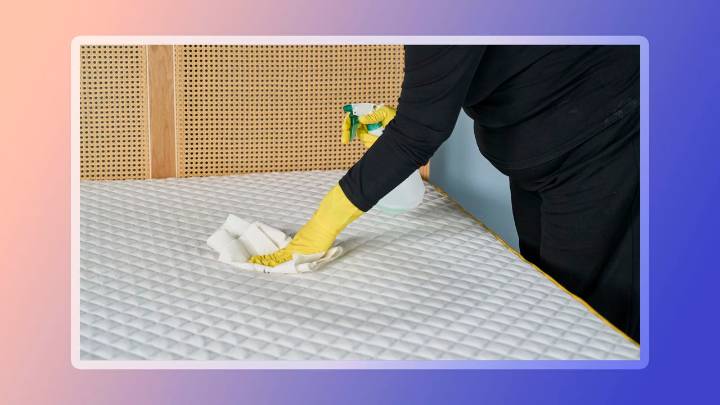 5 most common types of mattress stains rated from harmless to dangerous