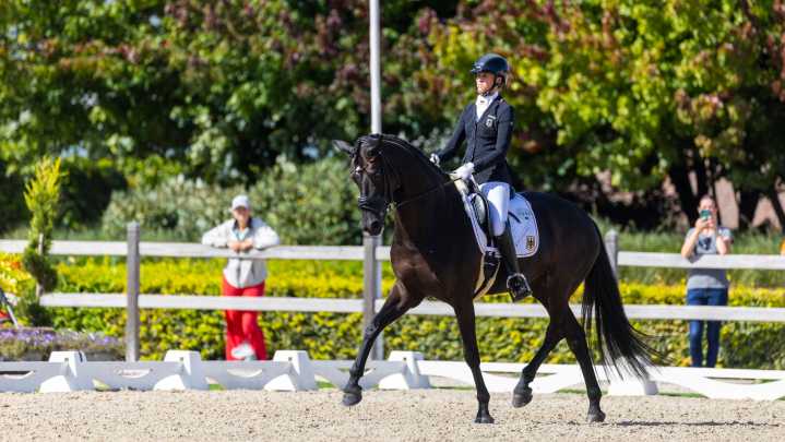 Hat-trick of golds for rider at European Para Dressage Championships
