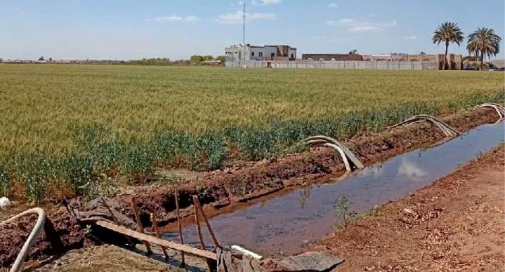 Sader analiza petición de zona de emergencia en el Valle del Yaqui