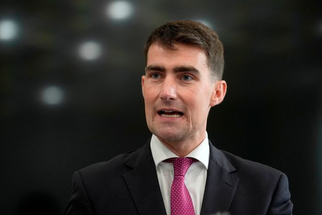Minister concedes multinational fast-food chains will also get Vat cut designed to help Irish businesses