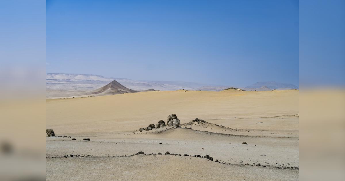 “Paracas. Silencio Habitado”: exposición que festeja los 50 años de Paracas como reserva nacional, en el museo Amano