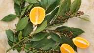 Mezclar naranja con laurel: para qué sirve y por qué recomiendan hacerlo antes de la primavera
