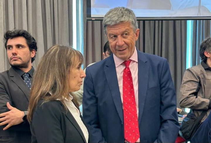 Roxana Reyes destacó el avance de la ley para potenciar las energías alternativas en la provincia