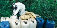 Guardia Nacional, Semar y el Ejército destruyen ocho centros de precursores químicos en Sinaloa y un narcocampamento