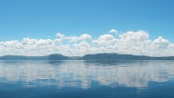 Lakeshore shallows can be biodiversity hotspots – but warming is changing their complex ecology