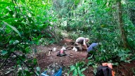 Hallan rastros humanos de hace 6000 años en Iguazú