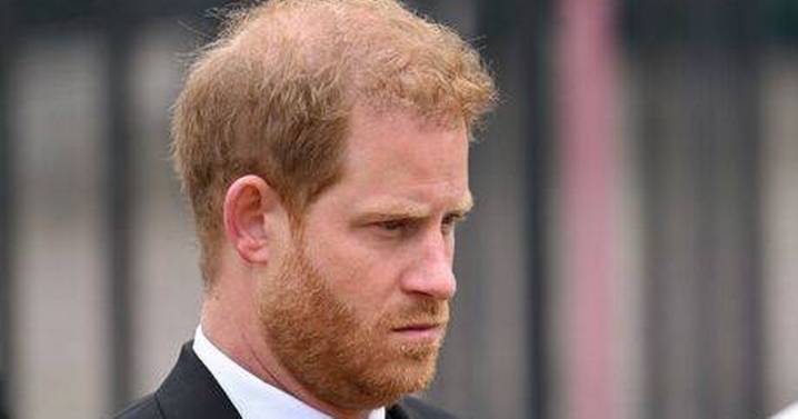 Prince Harry's UK pals 'make pact as homesick prince sends unusual texts'