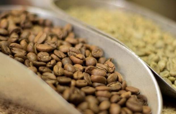 Gremio cafetero desarrolla alianzas para impulsar calidad del café en Trujillo