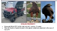 Vehicle with 2 hawks inside stolen near SoFi Stadium during Rams game