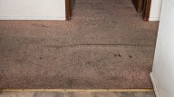 How To Clean Grease Stains From Carpet With A Household Staple