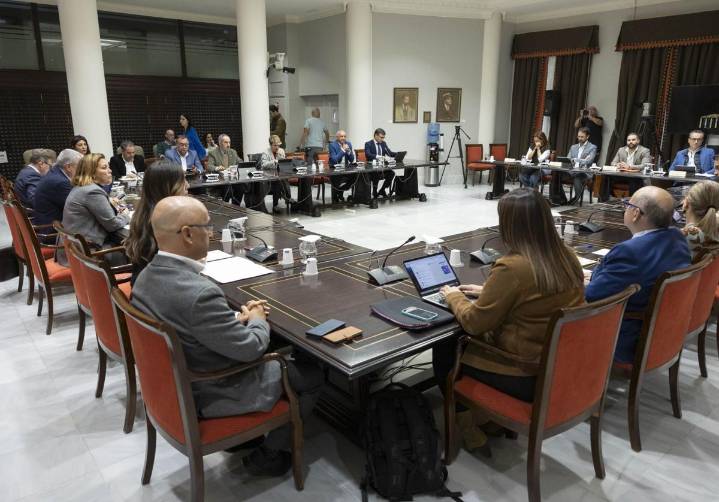 Listas de espera de discapacidad, en directo: los Cabildos analizan el decreto para acelerar su reconocimiento