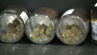 First Minnesota cannabis shops open after supply challenges