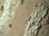 El hallazgo de vida que la NASA estaba esperando: Marte revela sus secretos