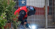 Mercado sube proyecciones de PIB e inversión para 2025 y 2026: expertos lo atribuyen al ciclo electoral