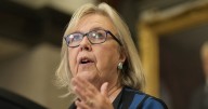 Canada politics: May asks to stay on as Green leader
